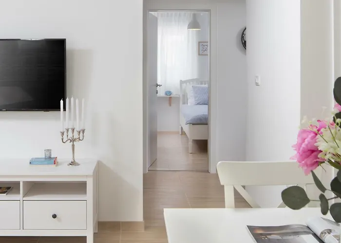 Villa Meadow Labin (Istria)