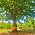 Meadow